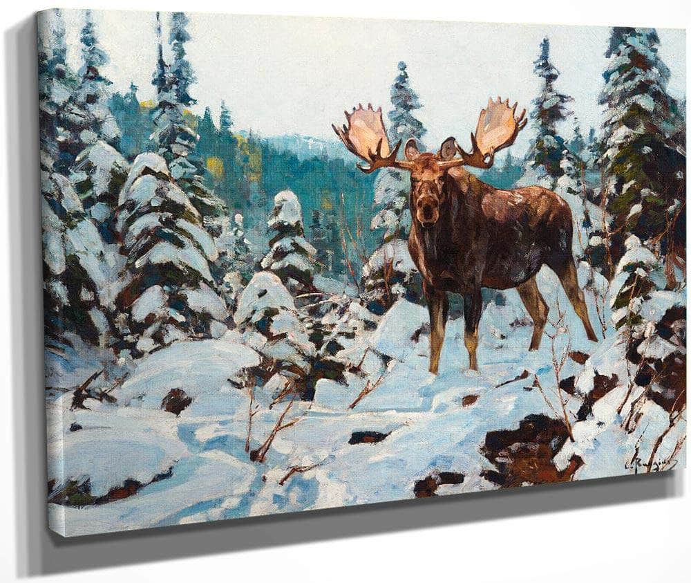Bull Moose By Carl Rungius Fine Art Print