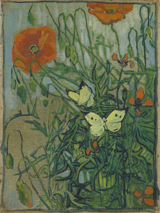 Butterflies And Poppies By Vincent Van Gogh Fine Art Print