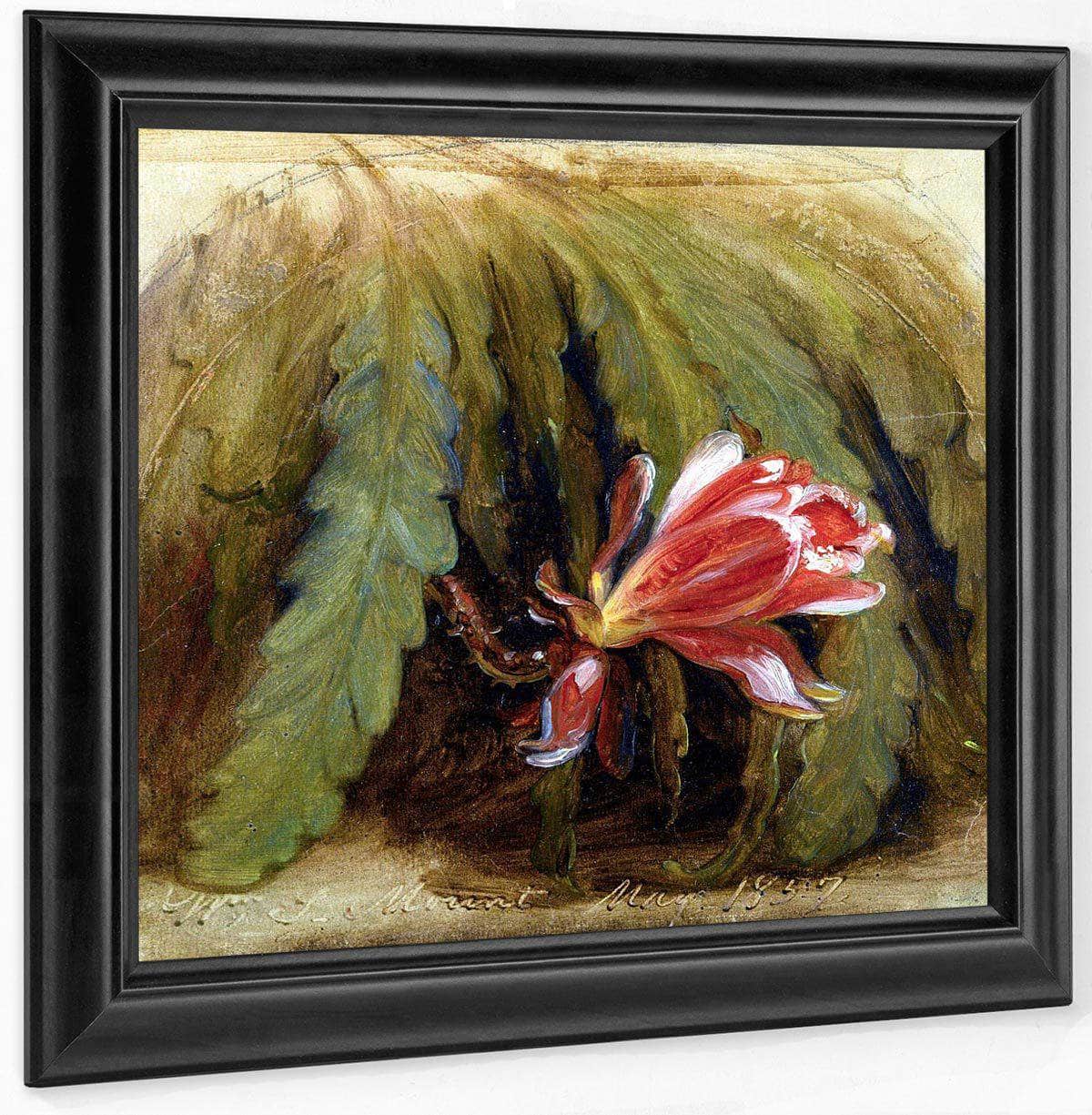 Cactus In Blossom By William Sidney Mount Fine Art Print