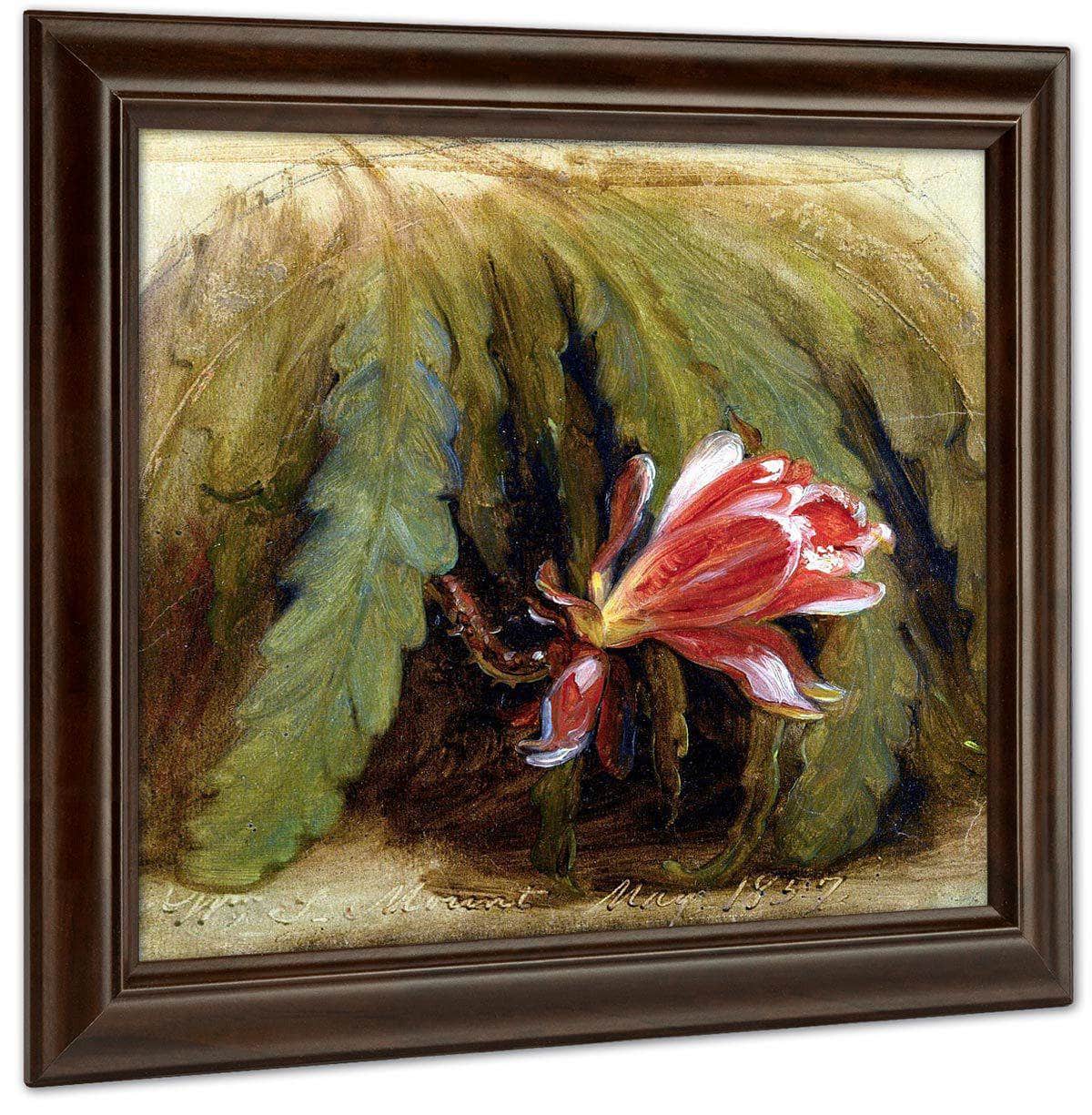 Cactus In Blossom By William Sidney Mount Fine Art Print