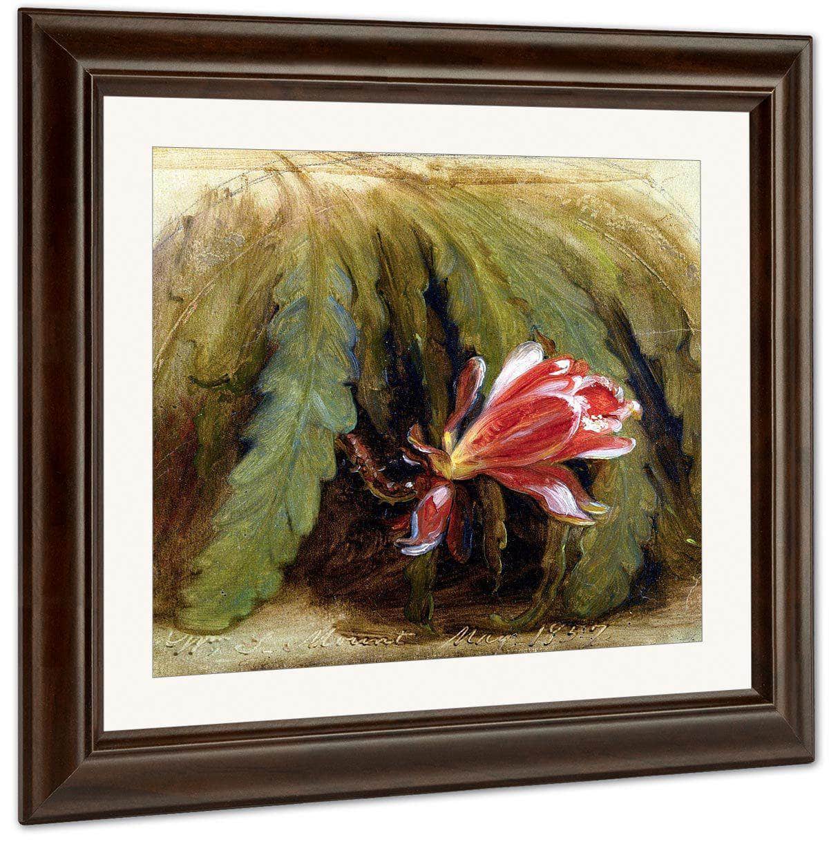 Cactus In Blossom By William Sidney Mount Fine Art Print