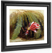 Cactus In Blossom By William Sidney Mount Fine Art Print