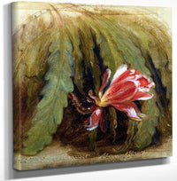 Cactus In Blossom By William Sidney Mount Fine Art Print