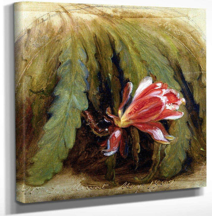 Cactus In Blossom By William Sidney Mount Fine Art Print