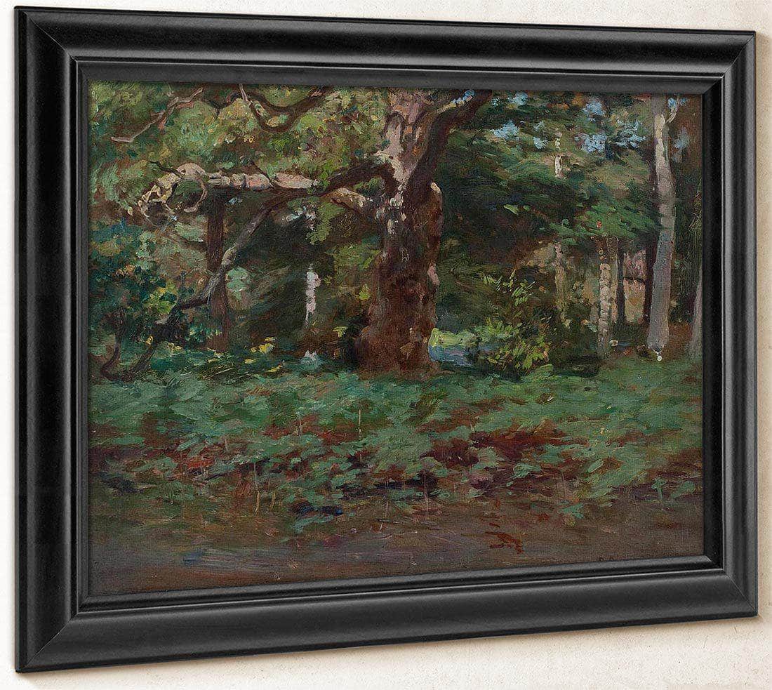 Cadzow Forest By Robert Reid Fine Art Print