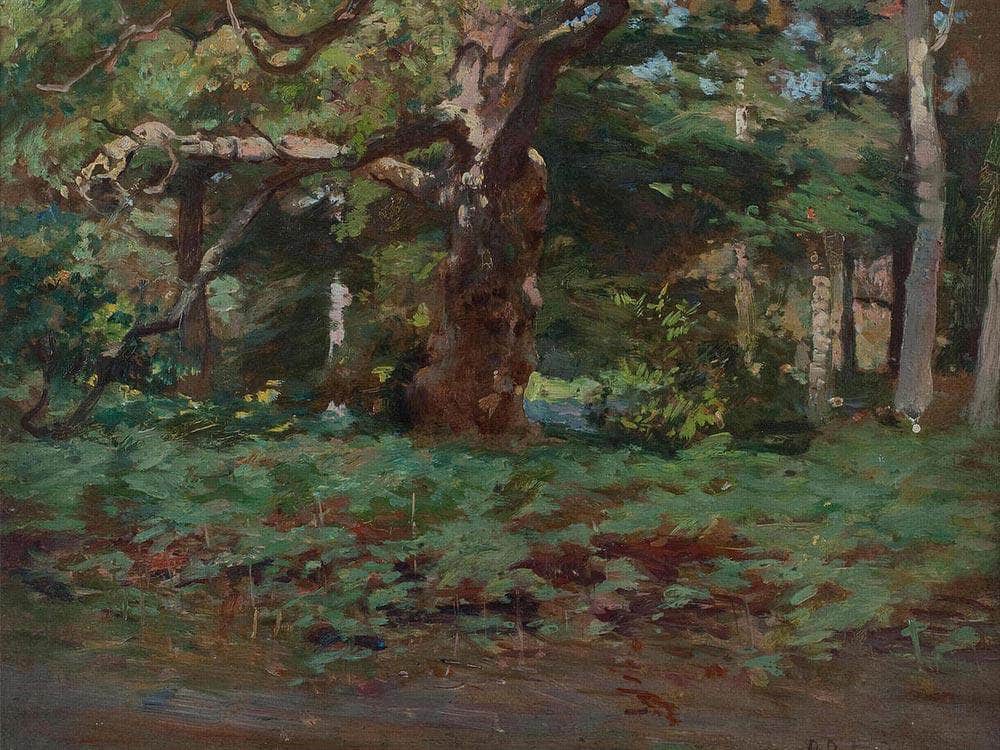 Cadzow Forest By Robert Reid Fine Art Print