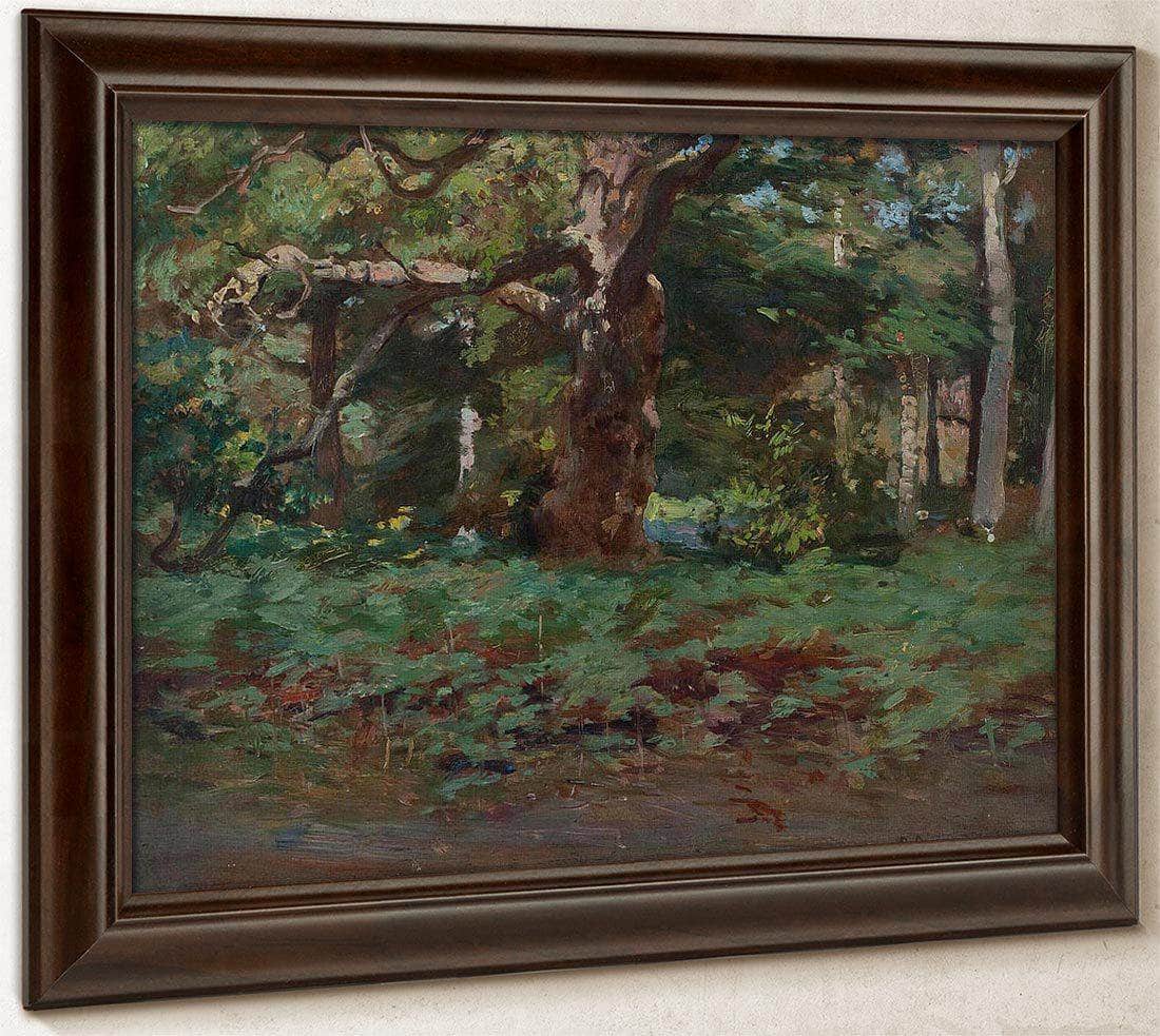 Cadzow Forest By Robert Reid Fine Art Print