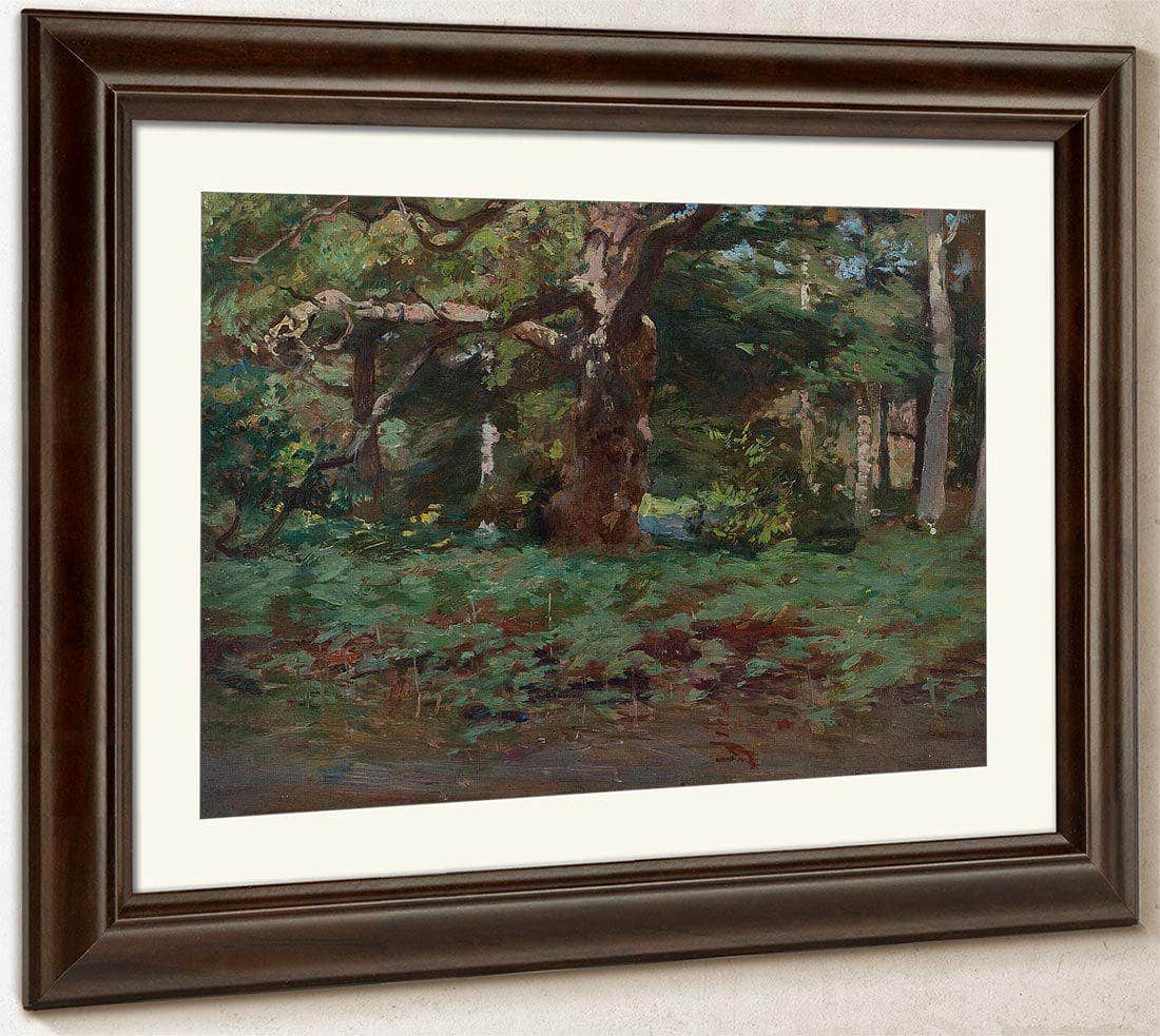 Cadzow Forest By Robert Reid Fine Art Print