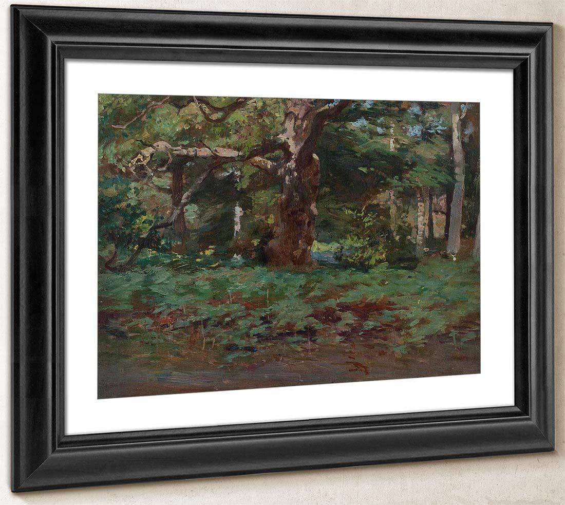 Cadzow Forest By Robert Reid Fine Art Print