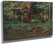 Cadzow Forest By Robert Reid Fine Art Print
