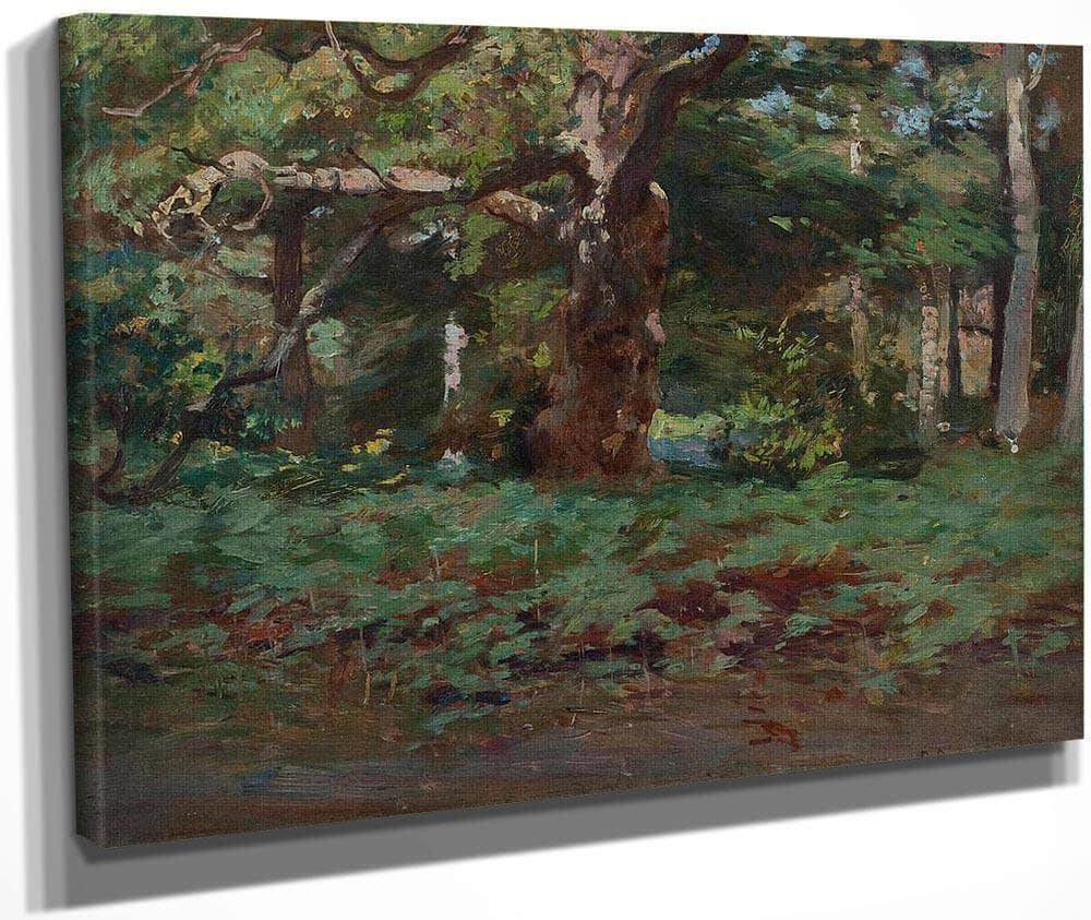Cadzow Forest By Robert Reid Fine Art Print
