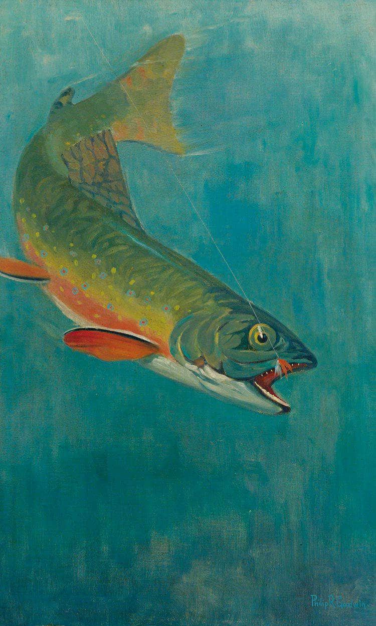 Catching The Bait By Philip R. By Goodwin Fine Art Print