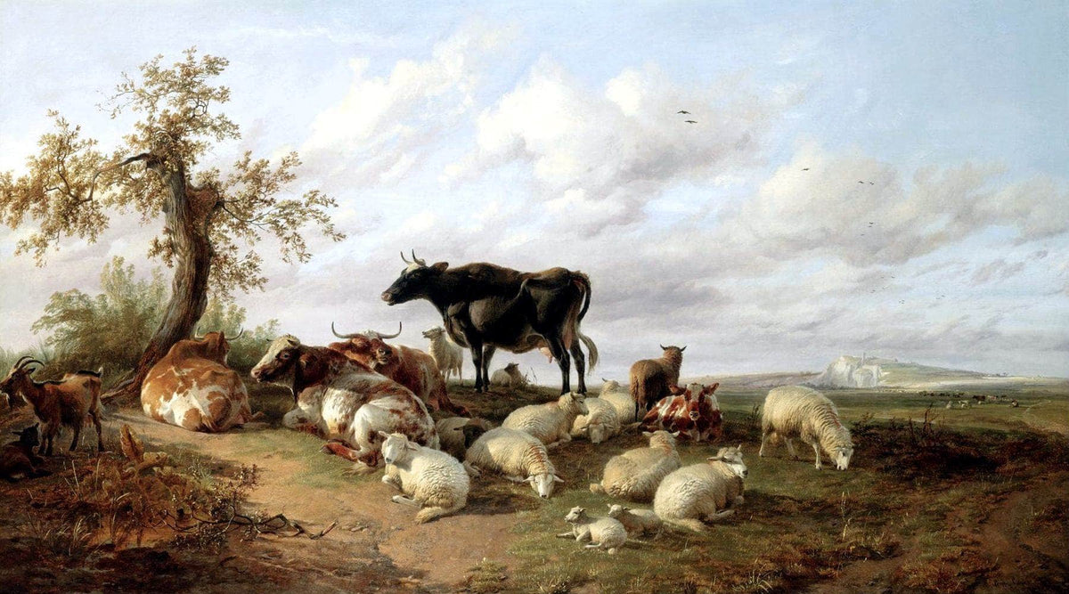 Cattle Sheep Goats In A Canterbury Meadow Painting Thomas Cooper Canvas Art Fine Art Print
