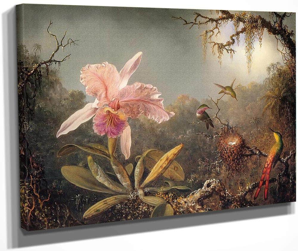 Cattleya Orchid And Three Brtazilian Hummingbirds By Martin Johnson Heade Fine Art Print