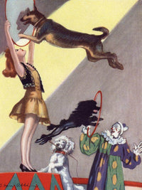 Circus Dog Act By Salomon Van Abbe Fine Art Print