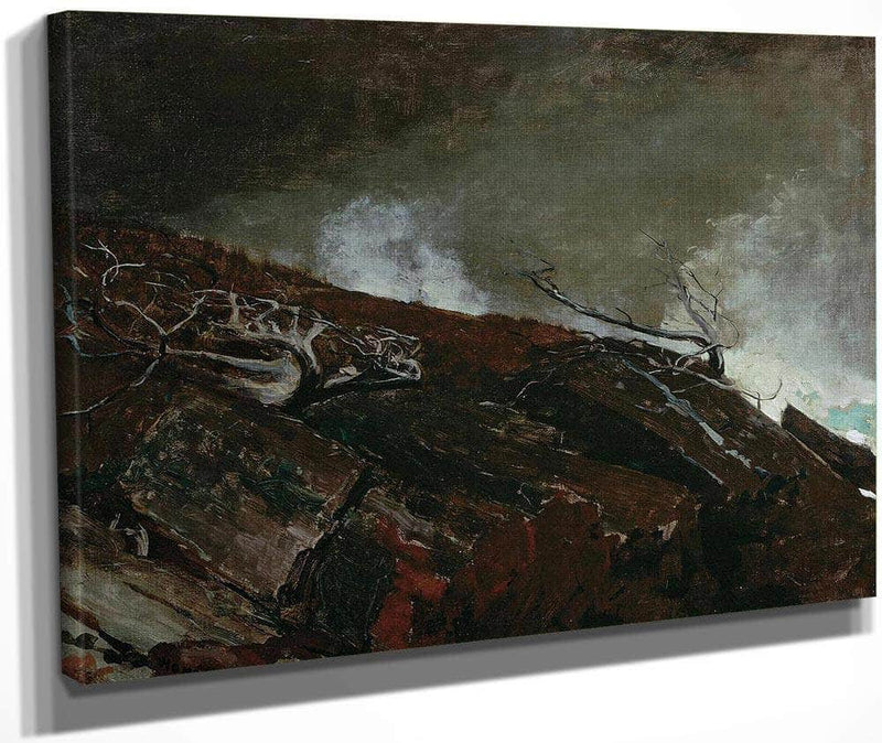 Coast Of Maine By Winslow Homer Fine Art Print