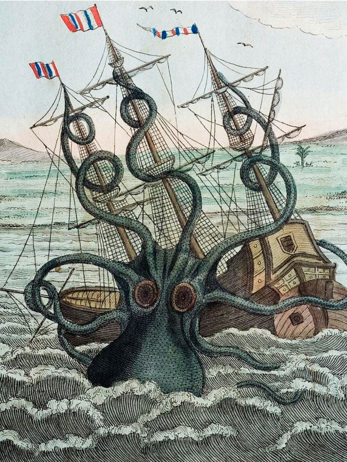 Colassal Octopus By Bilderbuch Fine Art Print