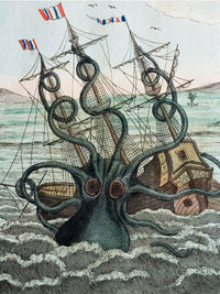 Colassal Octopus By Bilderbuch Fine Art Print