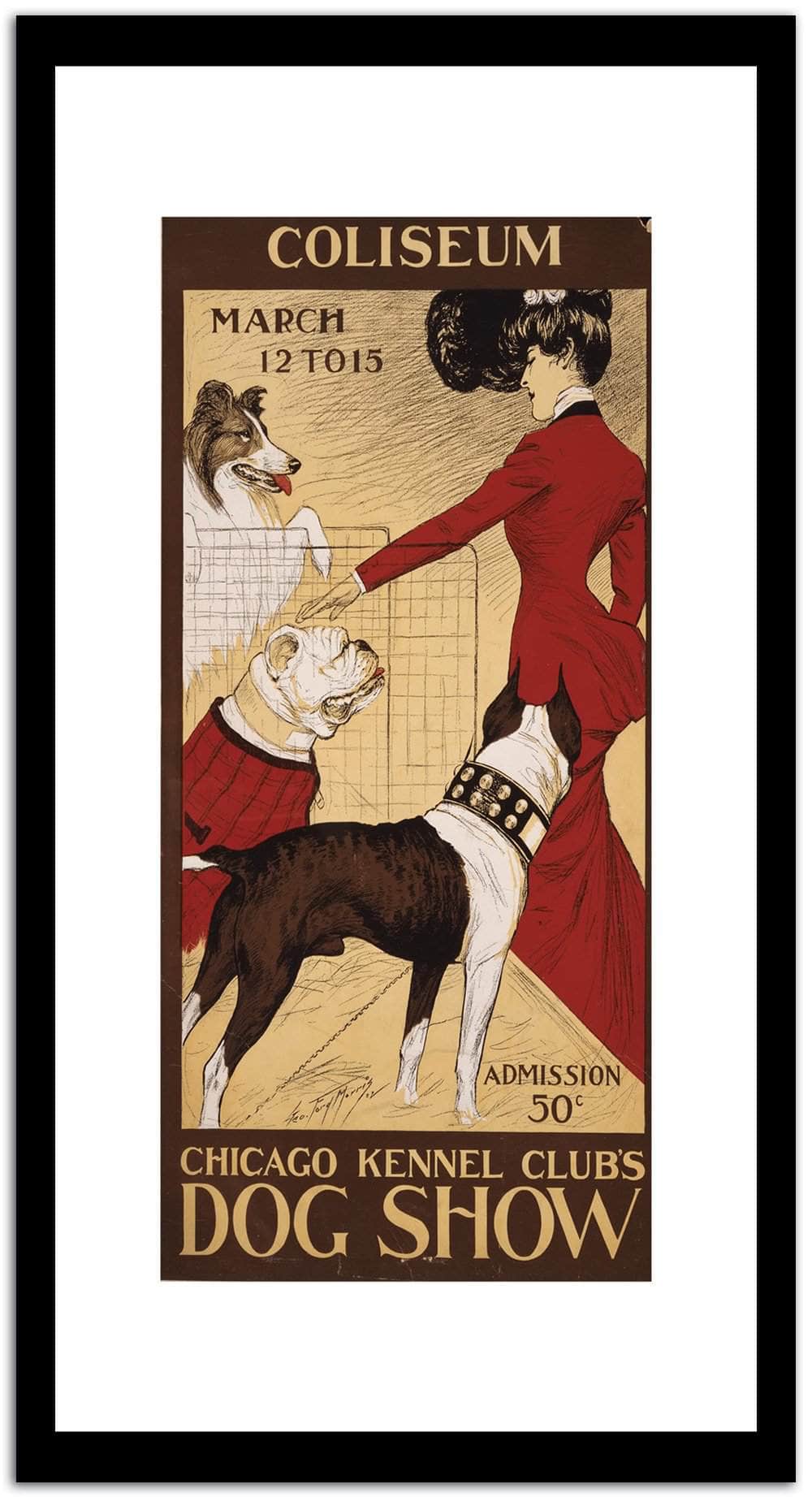 Coliseum  Vintage Movie Poster Fine Art Print