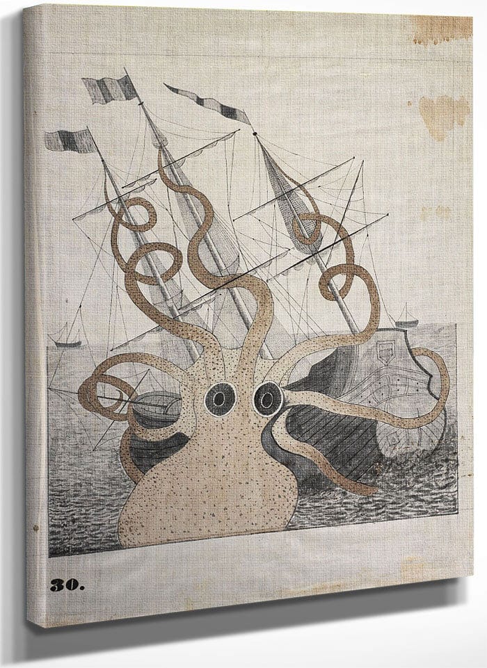 Colossal Octopus By Orra White Hitchcock Fine Art Print