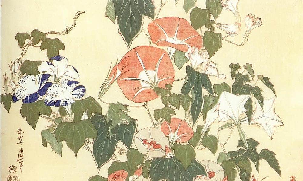 Convolvulus And Tree Frog By Hokusai Fine Art Print