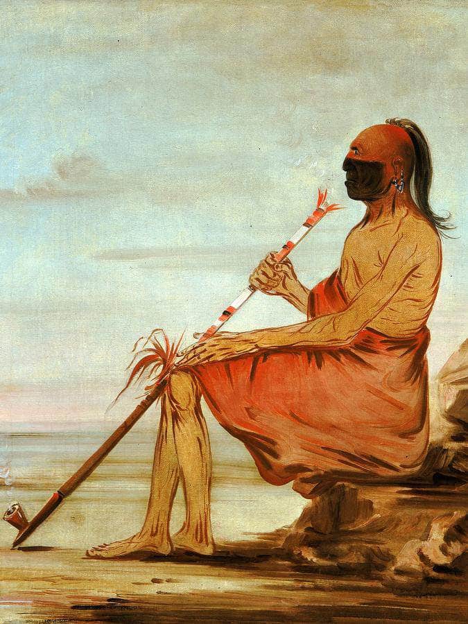 Coo Coo Coo, The Owl, An Aged Chief By George Catlin Fine Art Print