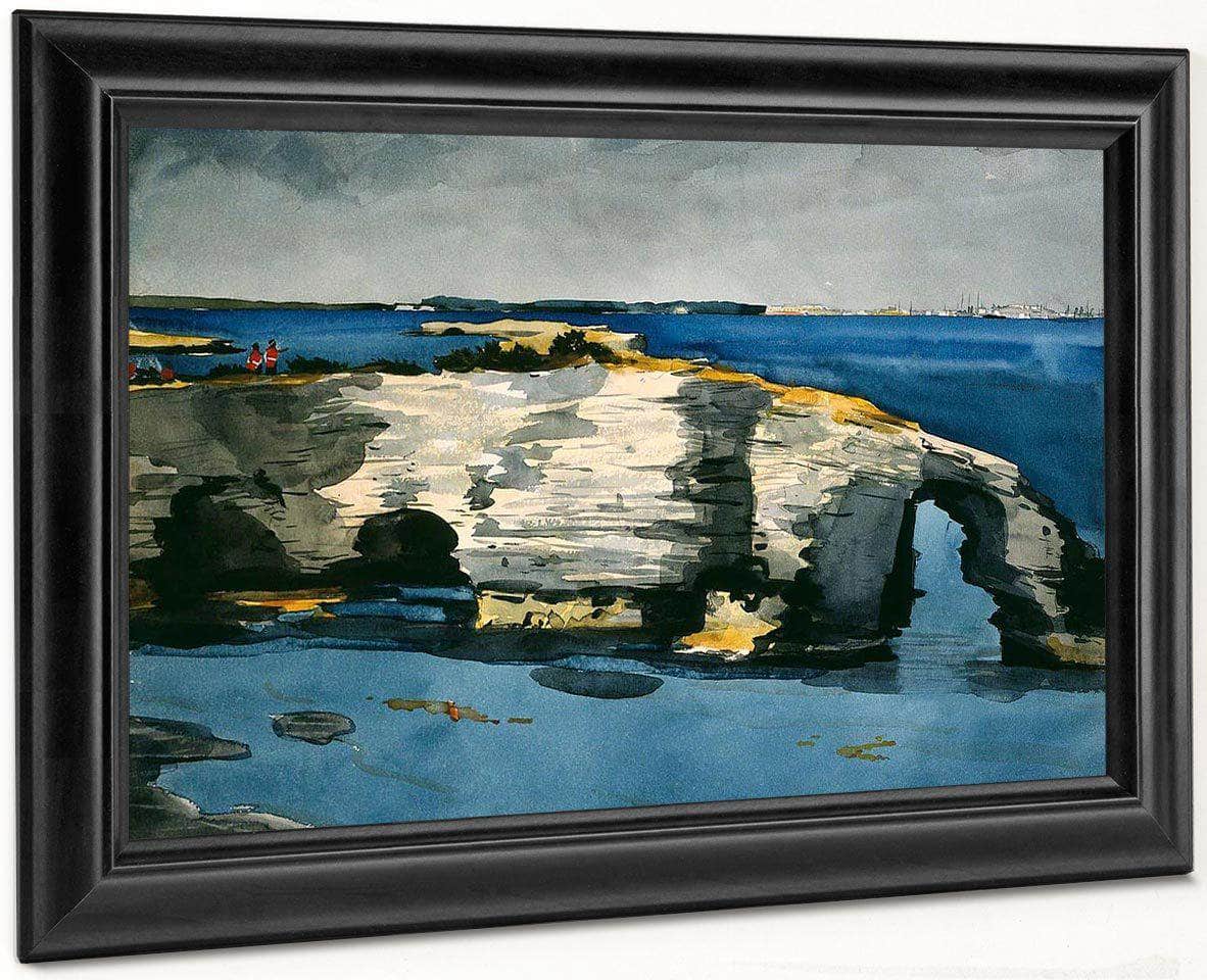 Coral Formation By Winslow Homer Fine Art Print
