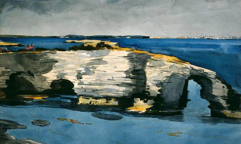 Coral Formation By Winslow Homer Fine Art Print