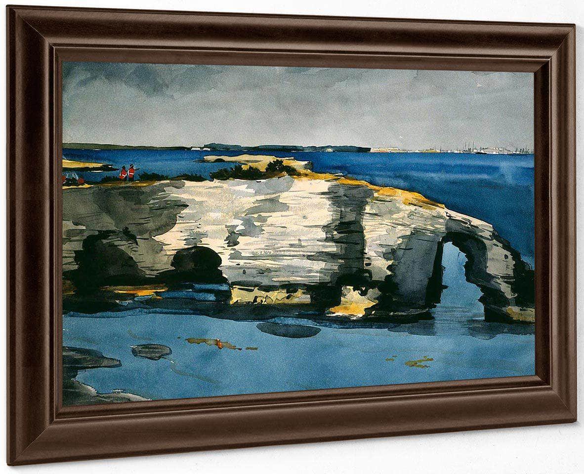 Coral Formation By Winslow Homer Fine Art Print