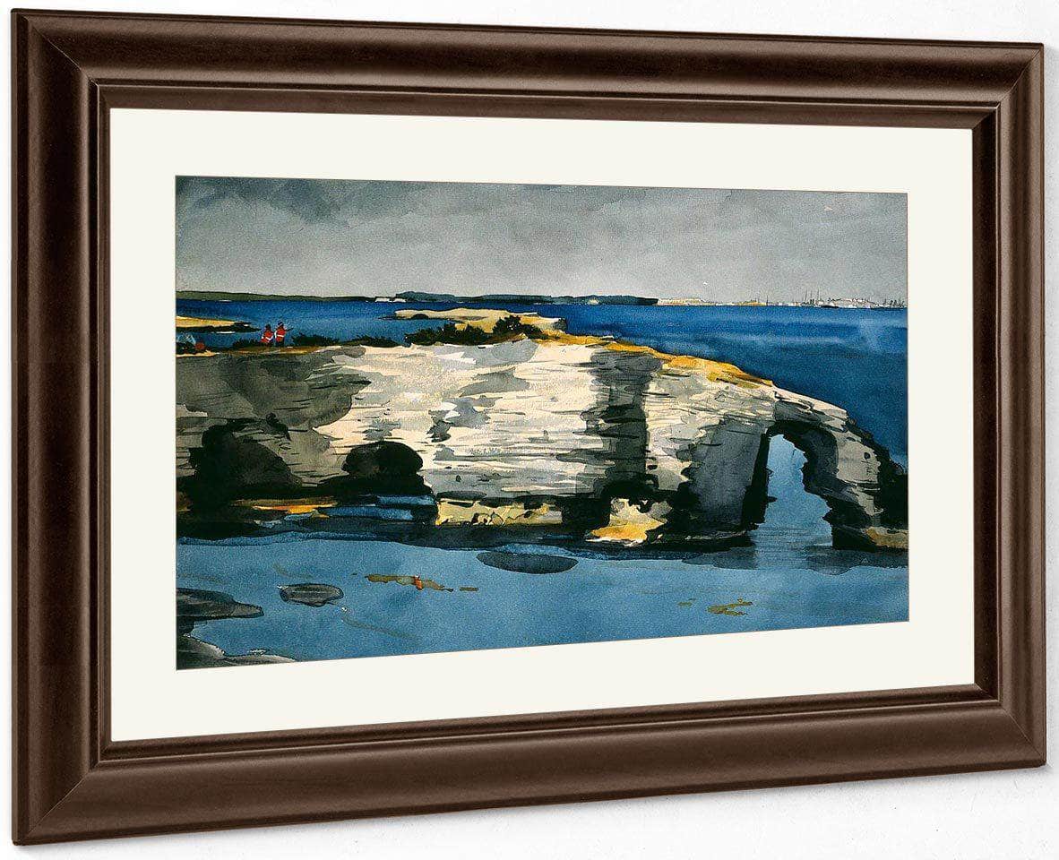 Coral Formation By Winslow Homer Fine Art Print