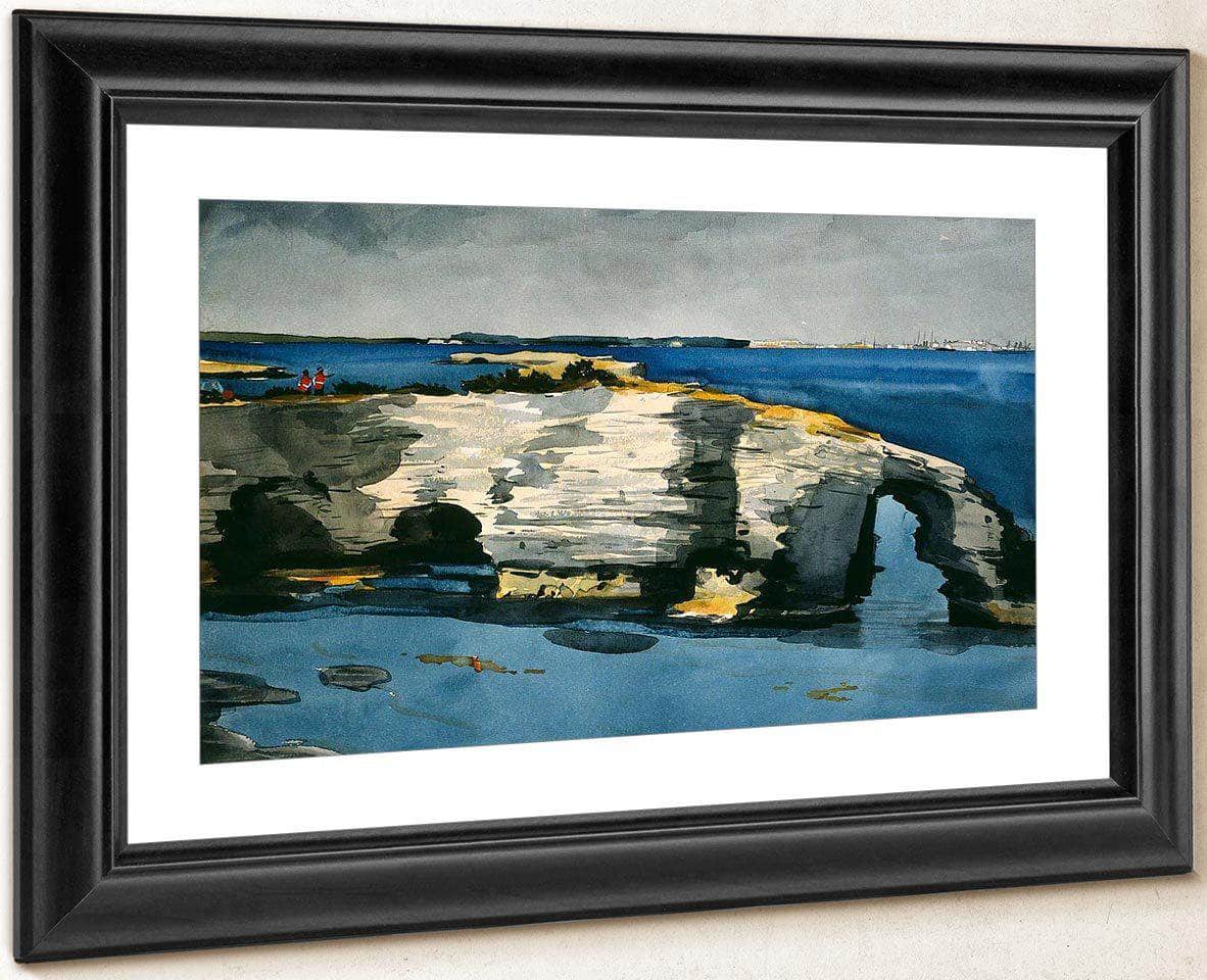 Coral Formation By Winslow Homer Fine Art Print