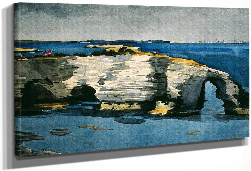 Coral Formation By Winslow Homer Fine Art Print