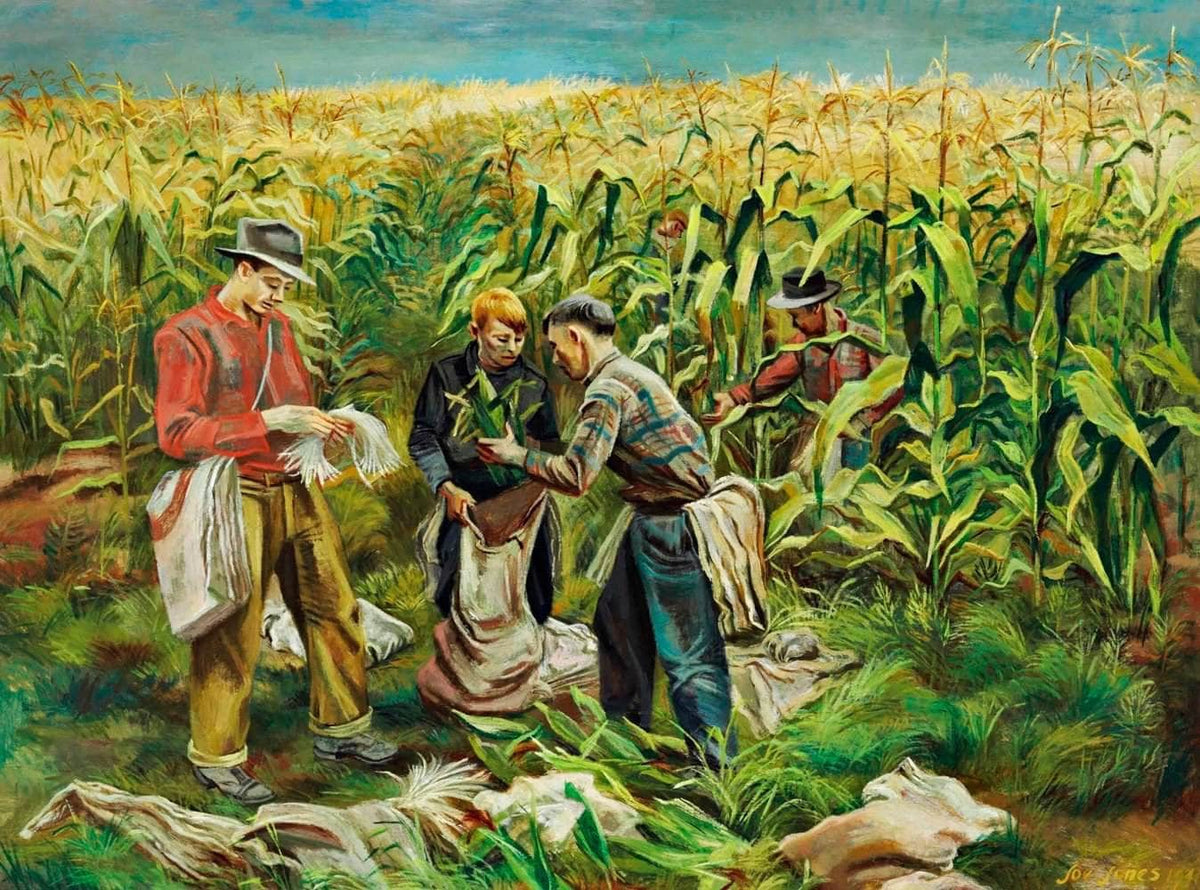 Cornfield Painting Joe Jones Canvas Art Fine Art Print