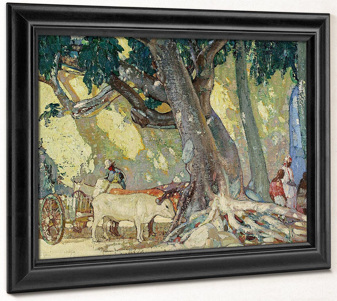 Cotton Silk Tree, St. Thomas, Virgin Islands By Richard Edward Miller Fine Art Print