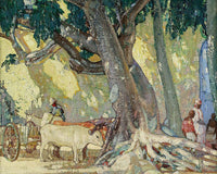 Cotton Silk Tree, St. Thomas, Virgin Islands By Richard Edward Miller Fine Art Print