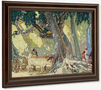 Cotton Silk Tree, St. Thomas, Virgin Islands By Richard Edward Miller Fine Art Print