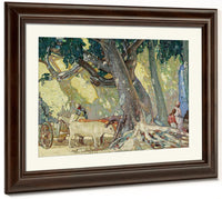 Cotton Silk Tree, St. Thomas, Virgin Islands By Richard Edward Miller Fine Art Print