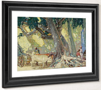Cotton Silk Tree, St. Thomas, Virgin Islands By Richard Edward Miller Fine Art Print