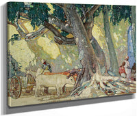 Cotton Silk Tree, St. Thomas, Virgin Islands By Richard Edward Miller Fine Art Print