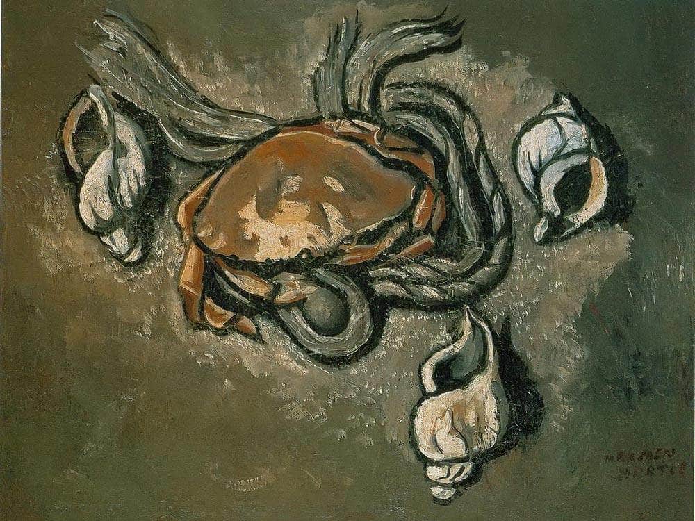 Crab Rope Seashells By Marsden Hartley Fine Art Print
