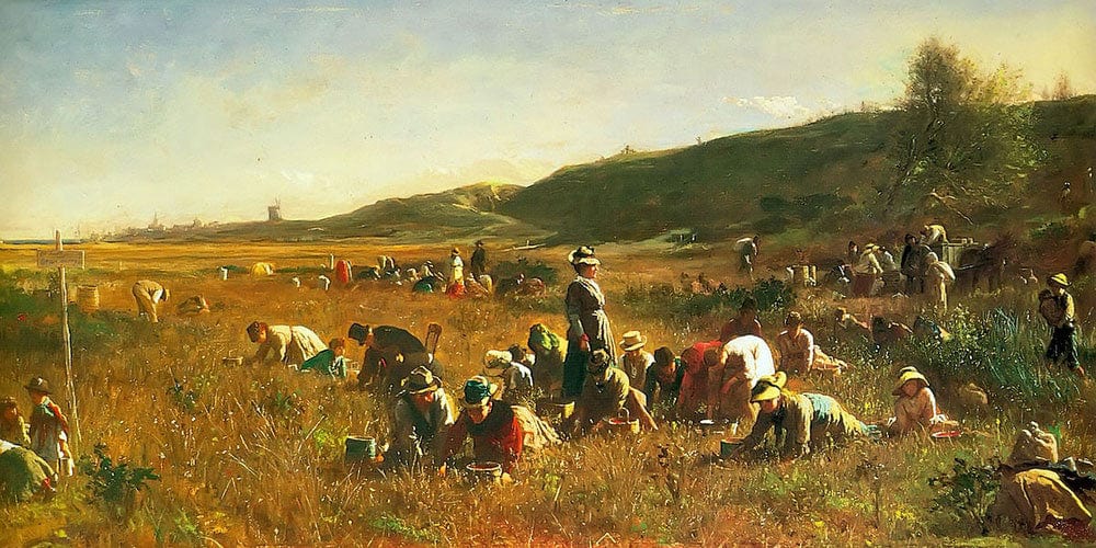 Cranberry Harvest By Eastman Johnson Fine Art Print