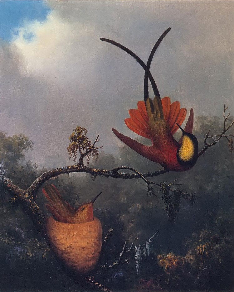 Crimson Topaz By Martin Johnson Heade Fine Art Print