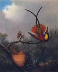 Crimson Topaz By Martin Johnson Heade Fine Art Print