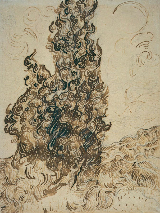 Cypresses By Vincent Van Gogh Fine Art Print