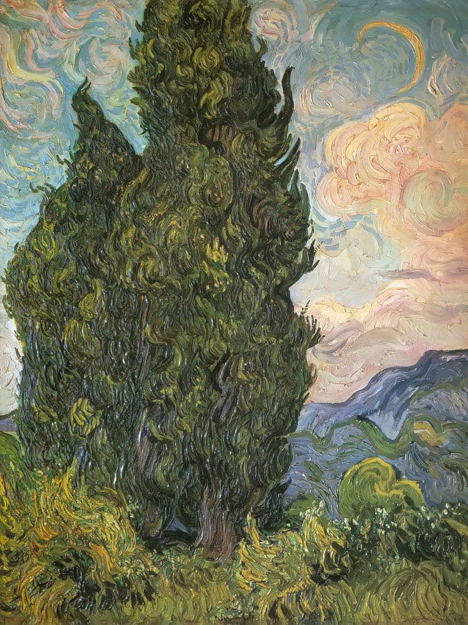 Cypresses By Vincent Van Gogh By 01 Fine Art Print