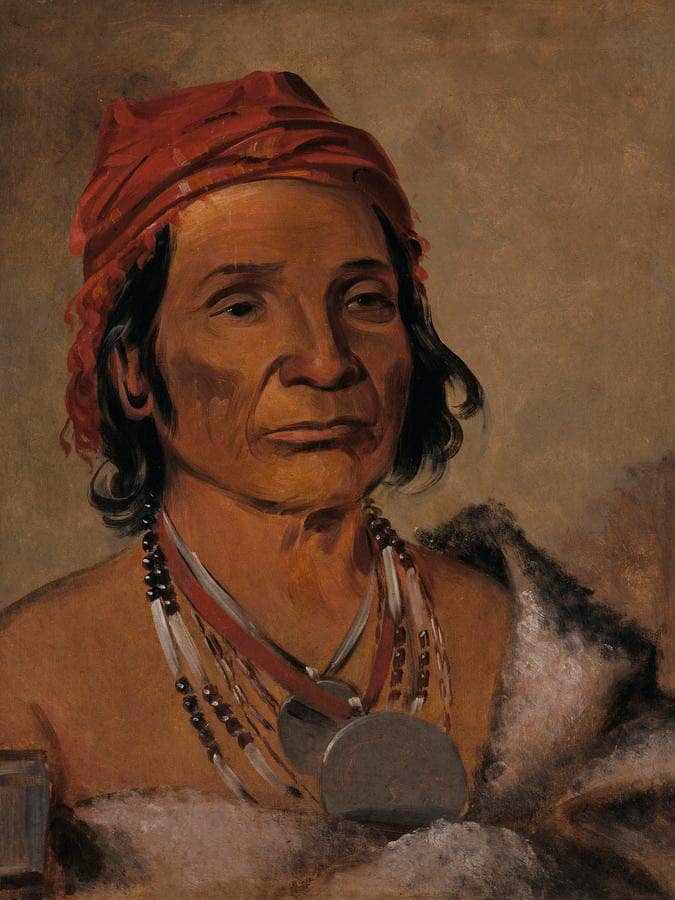 Deep Lake, An Old Chief By George Catlin Fine Art Print