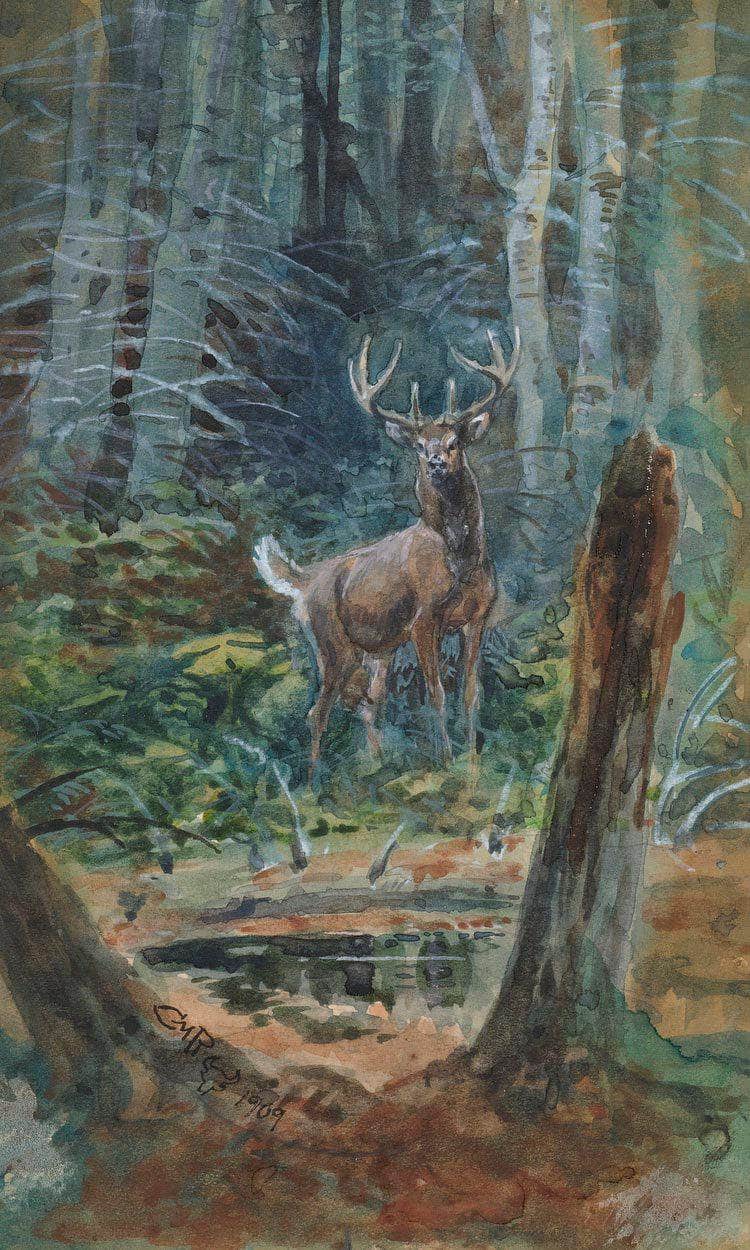 Deer In The Dell By Charles Marion Russell Fine Art Print
