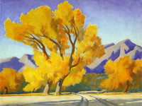 Desert Cottonwoods By Maynard Dixon Fine Art Print