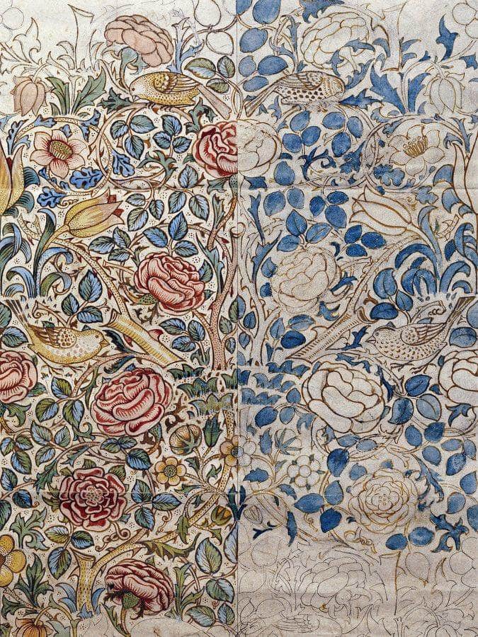 Design For Chintz  Rose By William Morris Fine Art Print
