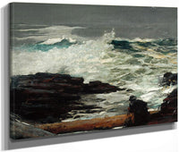 Driftwood By Winslow Homer Fine Art Print